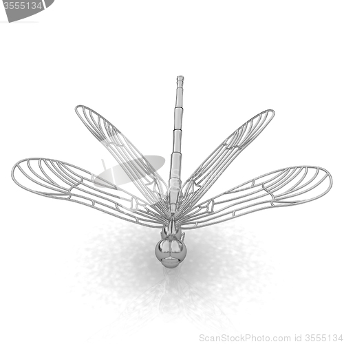 Image of Dragonfly