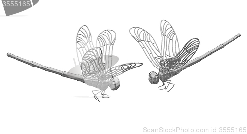 Image of Dragonfly