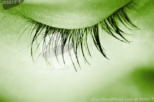 Image of Closed eye - macro