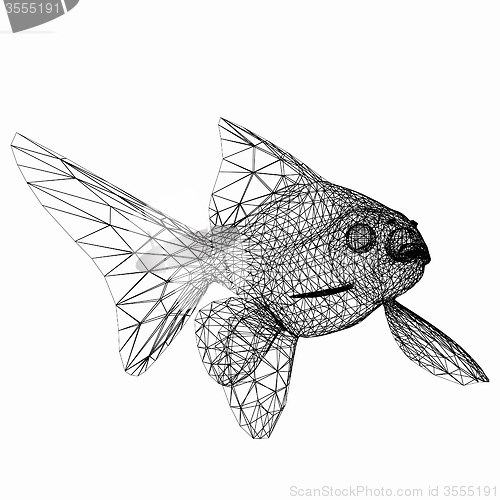 Image of Fish