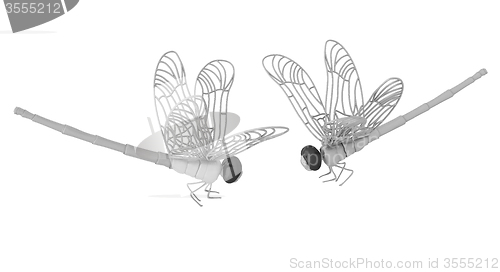 Image of Dragonfly