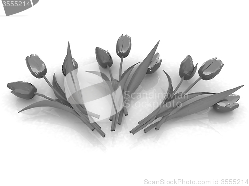 Image of Tulip flower