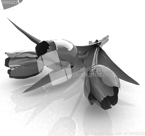 Image of Tulip flower