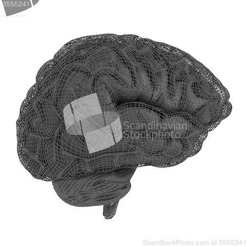 Image of Creative concept of the human brain