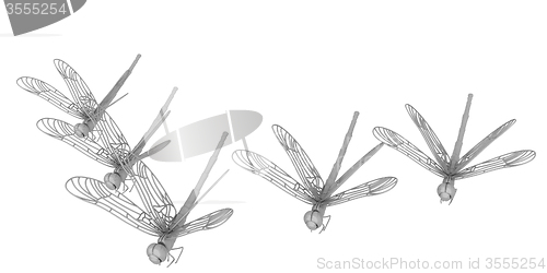 Image of Dragonflies