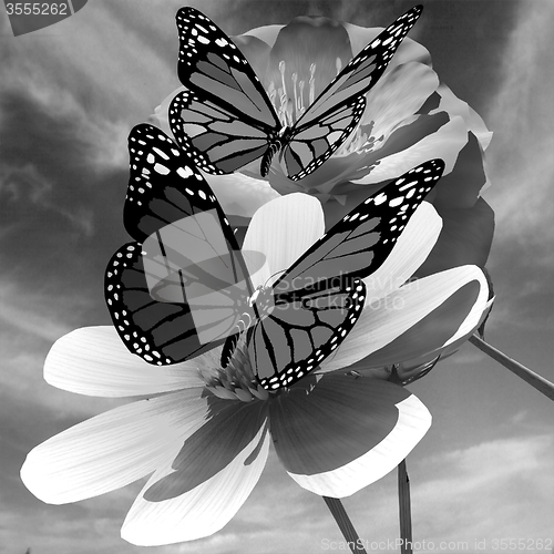 Image of Beautiful Flower and butterfly against the sky 