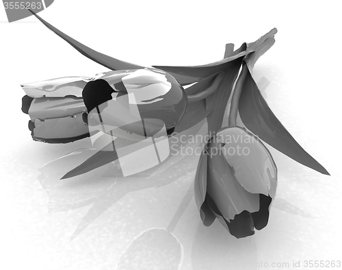 Image of Tulip flower