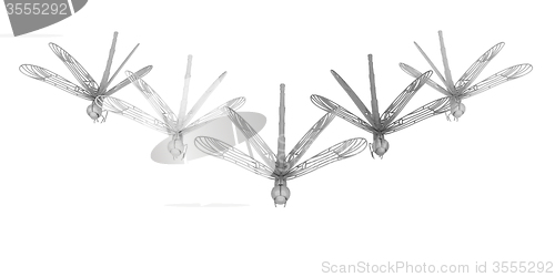 Image of Dragonflies