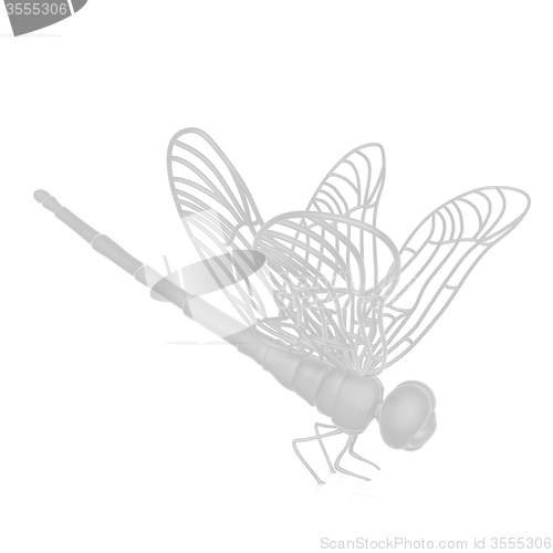 Image of Dragonfly