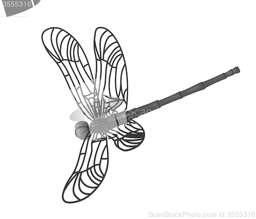 Image of Dragonfly