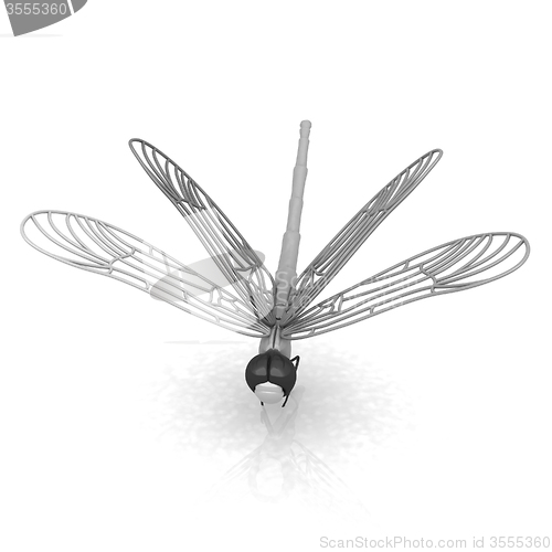 Image of Dragonfly