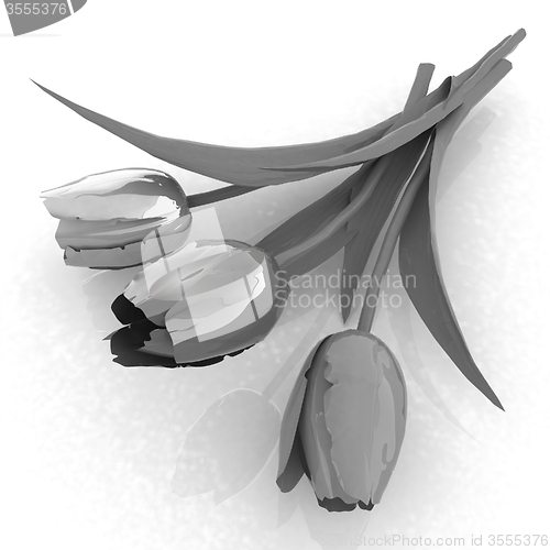 Image of Tulip flower