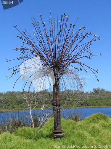 Image of tap tree