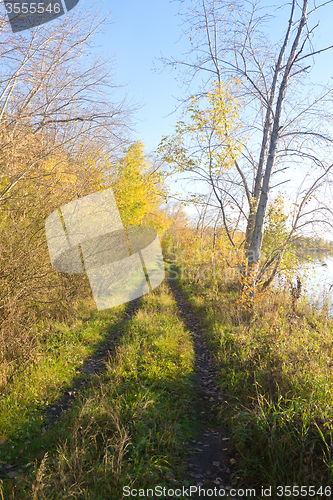 Image of road nea lake