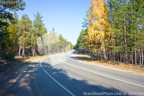 Image of autumn road