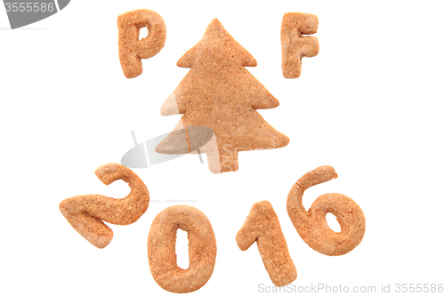 Image of gingerbread PF 2016 