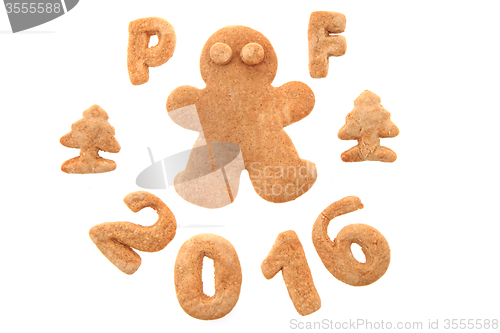 Image of gingerbread PF 2016 
