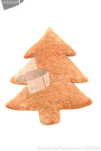 Image of ginger bread tree isolated