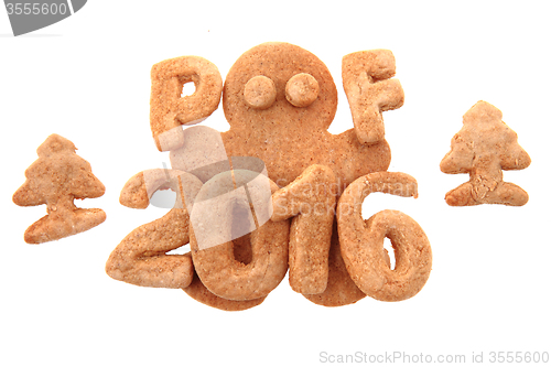 Image of gingerbread PF 2016 