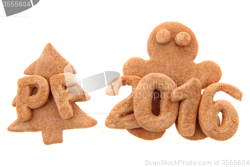 Image of gingerbread PF 2016 