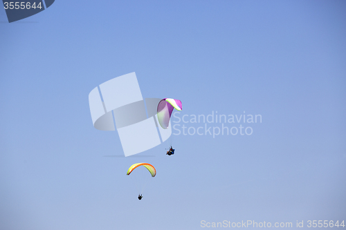 Image of Colorful paragliders with blue sky