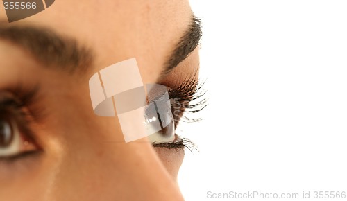 Image of Brown eye