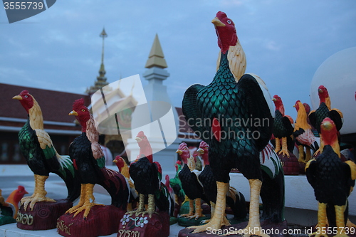 Image of ASIA THAILAND ISAN KHORAT CHICKEN TEMPLE