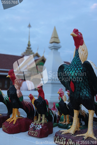 Image of ASIA THAILAND ISAN KHORAT CHICKEN TEMPLE