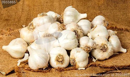 Image of Big pile of garlic