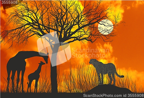 Image of Cheetah and giraffe at sunset