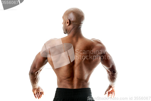 Image of Muscular Back
