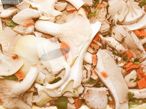 Image of Retro looking Mushrooms picture