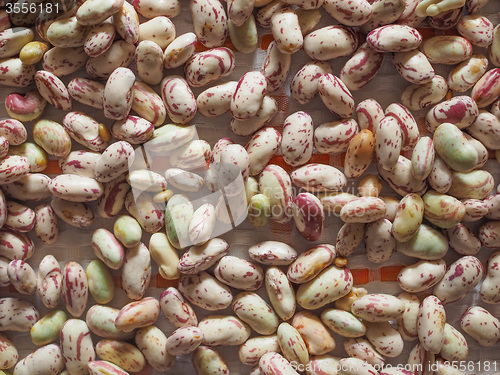 Image of Crimson beans vegetables background