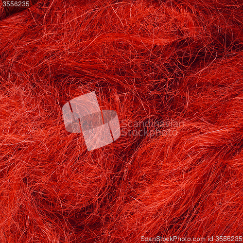 Image of Wild hair in a close-up