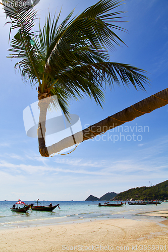 Image of sun ligt asia in the  kho tao bay isle white  