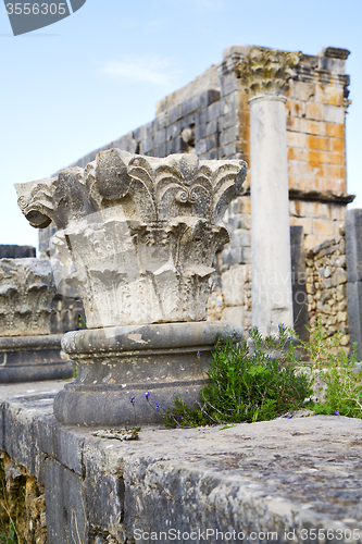 Image of volubilis in morocco africa the   deteriorated monument and site