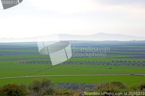 Image of volubilis in morocco africa the old roman street