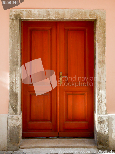 Image of double-wing front door brown