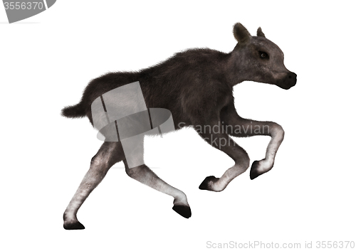 Image of Caribou Calf