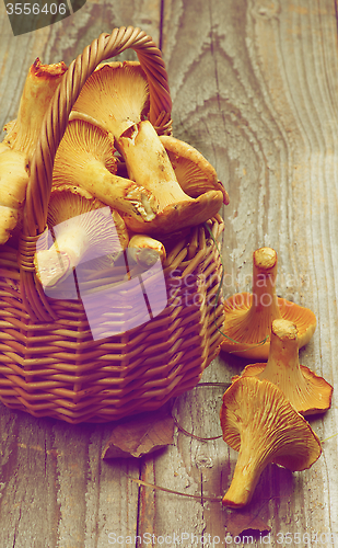 Image of Raw Chanterelles