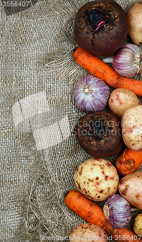 Image of Frame of Raw Vegetables