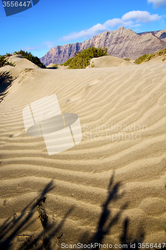 Image of abstract yellow dune  hil and mountain in the   lanzarote spain 
