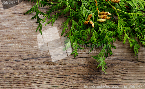 Image of Christmas Decorations
