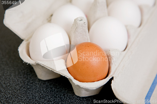 Image of Brown Egg