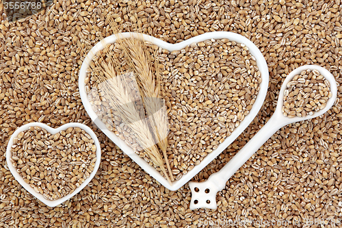 Image of Pearl Barley