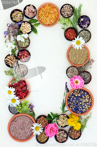 Image of Medicinal Healing Herbs and Flowers