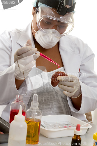 Image of Medical scientist at work