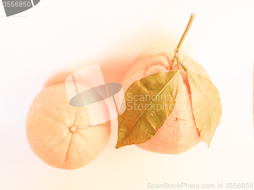 Image of Retro looking Orange fruit
