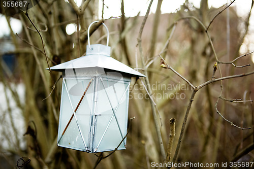 Image of Forest Lantern