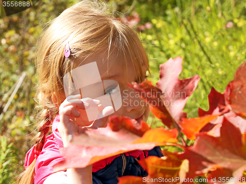 Image of Little girl resting in autumn park